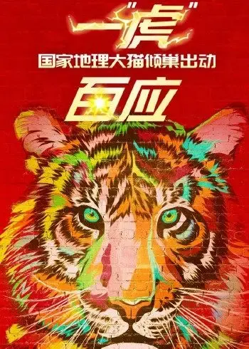 一'虎'百应:科技前沿,探索未知的世界!