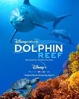 《海豚礁》：探索神秘海底世界，感受生命与自然的和谐