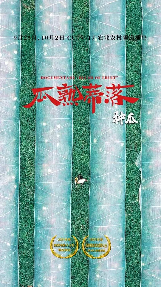 《瓜熟蒂落》影评：生命自然流淌的诗意，静谧中感受家庭的真谛
